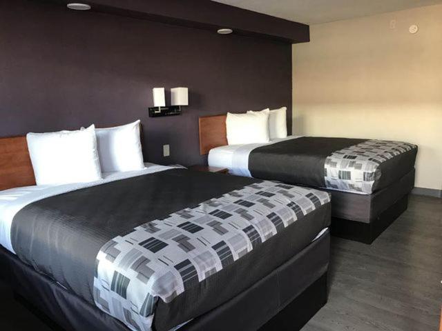 קינגסוויל Executive Inn מראה חיצוני תמונה